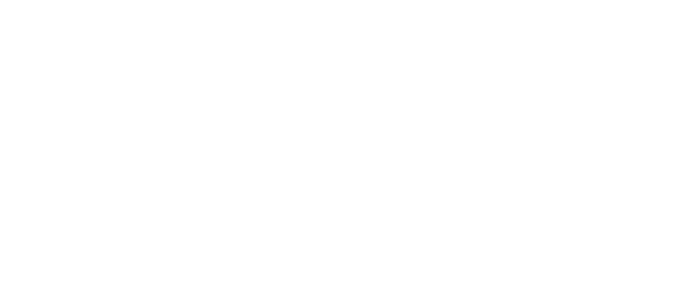 partners_homepage_seiler seiler geospatial logo white